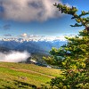 Olympic National Park